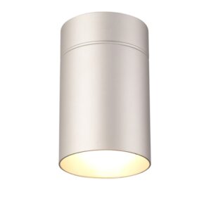 Aruba * Plafon 1L*E27 Grande Plata