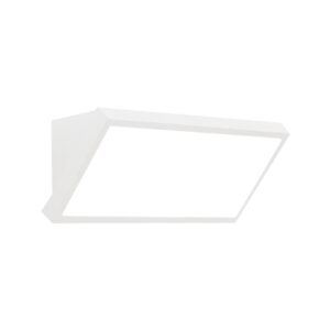 Wall lamp Outdoor White LED IP65 20W CCT