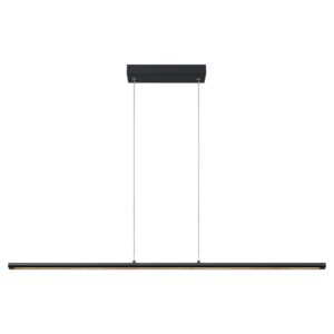 LIENAL*Lámpara LED 38W 3000K NEGRO