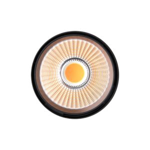 Fiji * Optica 30W 38º ( 069D-L )